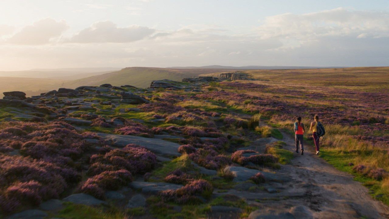 Essential Shots for Aerial Cinematography